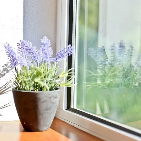 Morada Sol - In 3* Cascais