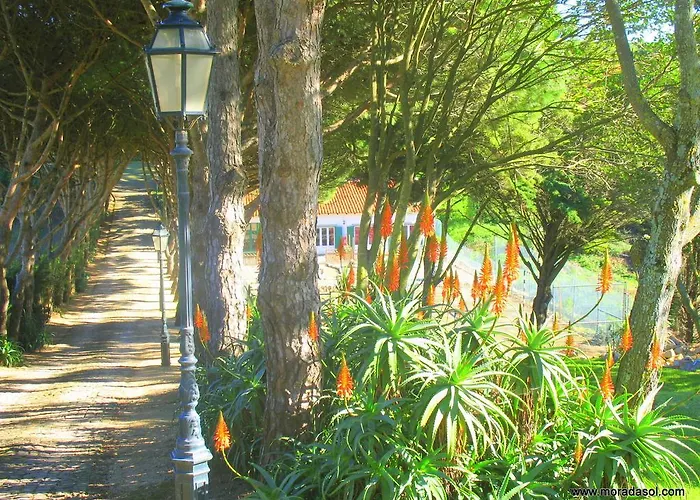 Morada Sol - In 3* Cascais